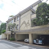 ホーマットオーキッド