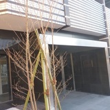 メインステージ南品川