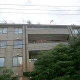 ウィスタリア南麻布