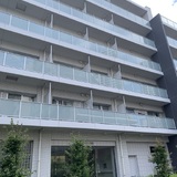 クリプトメリア目黒