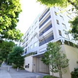 センチュリーフォレスト