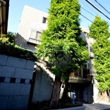 グランフォルム上原