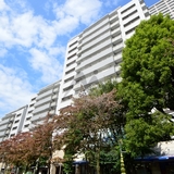 代官山アドレスザ・レジデンス