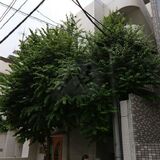 エクセシオーネ目黒