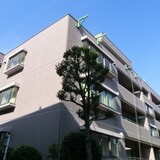 ステラメゾン碑文谷