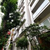 ホワイトフロント