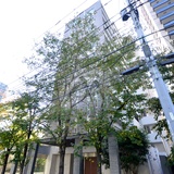 ベリスタ目黒不動前