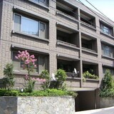 南青山ドミシル