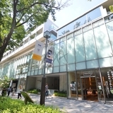 表参道ヒルズゼルコバテラス