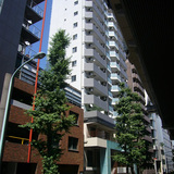 ガリシアヒルズ西麻布イースト