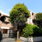 ヴィラテラッセ白金台