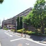 シャールレーク大井桜通り