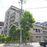 アデニウム高輪