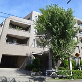 東急ドエルアルス学芸大学クレディール