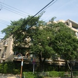 グランシティ碑文谷