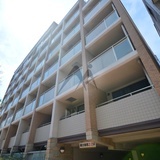 カッシア目黒