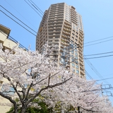 元麻布ヒルズフォレストタワー