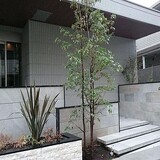 オーク恵比寿