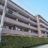ラビ目黒